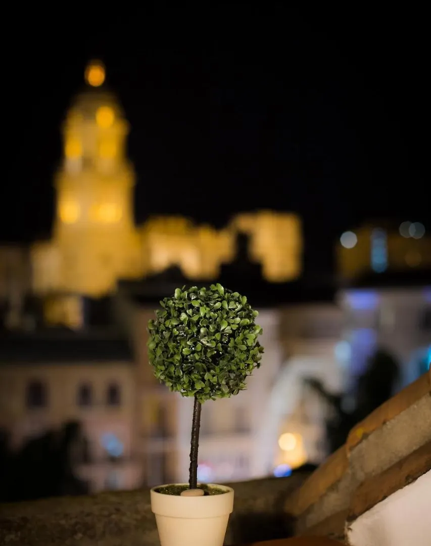 Holidays2Malaga Constitucion High Speed Wifi Apartment